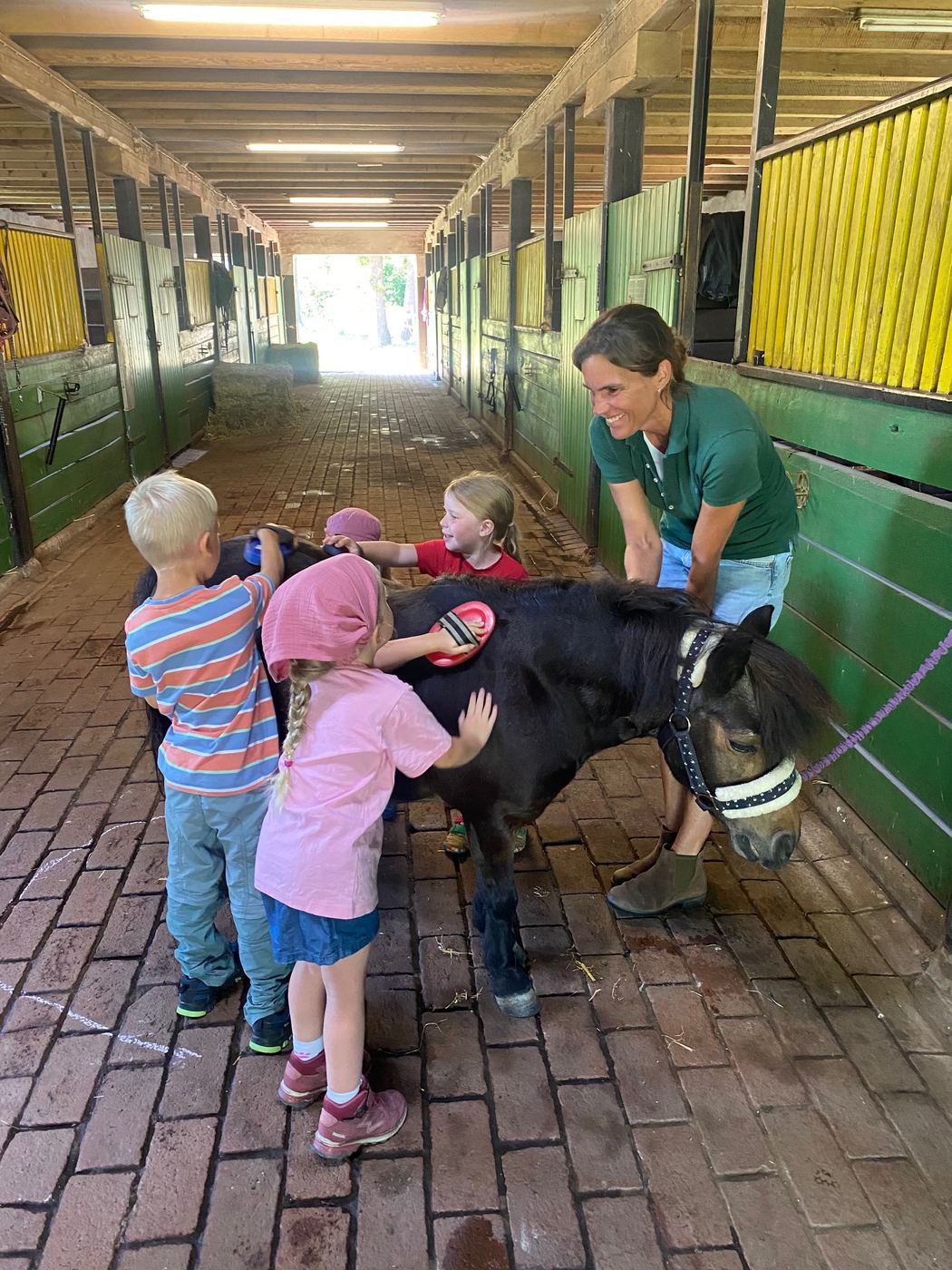 Kinder putzen gemeinsam ein kleines Pony in der Stallgasse