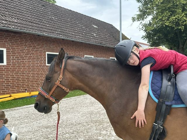 Ein Kind umarmt das Pony von oben