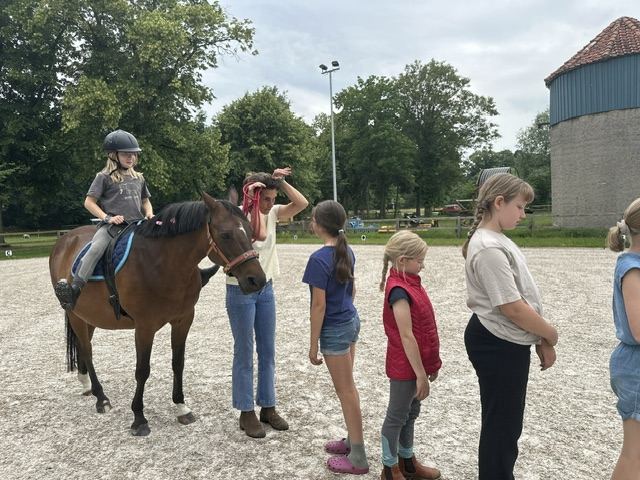 Kinder warten in einer Reihe, ein Kind sitzt schon auf dem Pony
